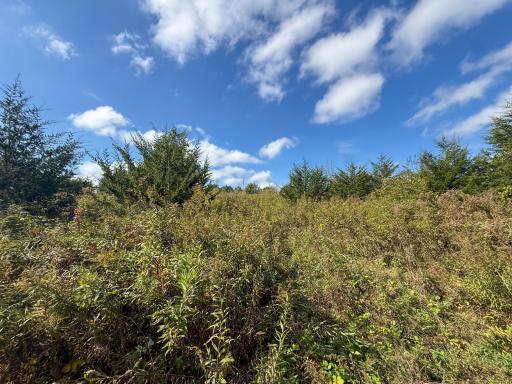 31258 E 325th Avenue, Lanesboro, MN 55971