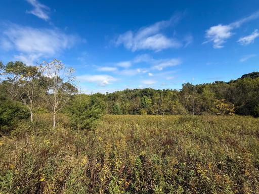 31258 E 325th Avenue, Lanesboro, MN 55971