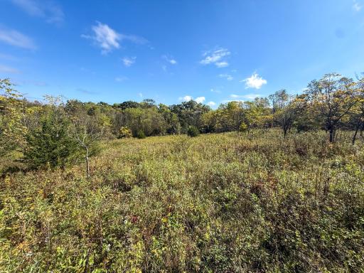 31258 E 325th Avenue, Lanesboro, MN 55971