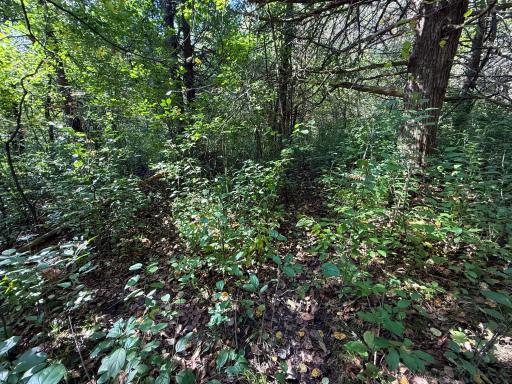 31258 E 325th Avenue, Lanesboro, MN 55971
