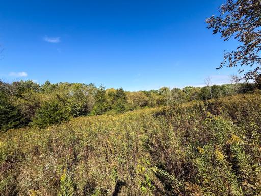 31258 E 325th Avenue, Lanesboro, MN 55971