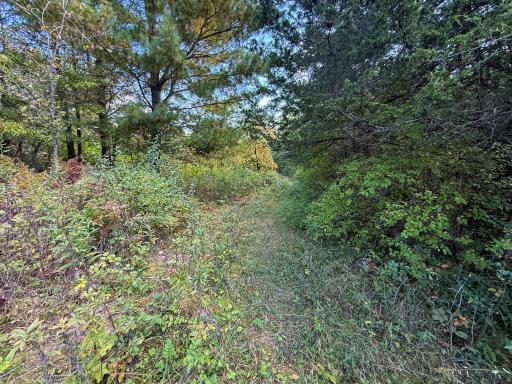 31258 E 325th Avenue, Lanesboro, MN 55971