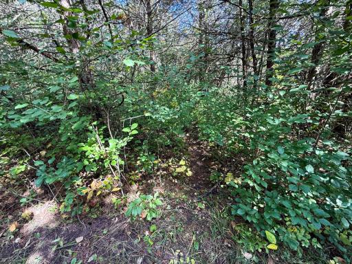 31258 E 325th Avenue, Lanesboro, MN 55971