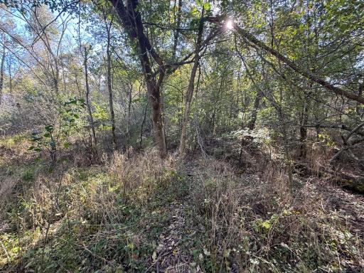 31258 E 325th Avenue, Lanesboro, MN 55971