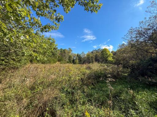 31258 E 325th Avenue, Lanesboro, MN 55971