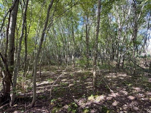 31258 E 325th Avenue, Lanesboro, MN 55971