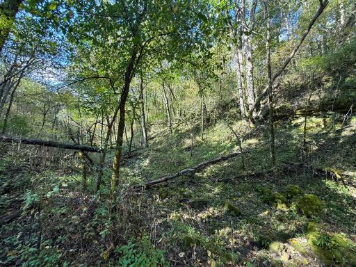 31258 E 325th Avenue, Lanesboro, MN 55971
