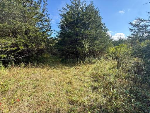 31258 E 325th Avenue, Lanesboro, MN 55971