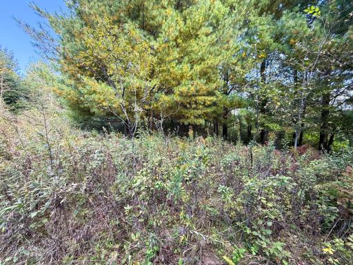 31258 E 325th Avenue, Lanesboro, MN 55971