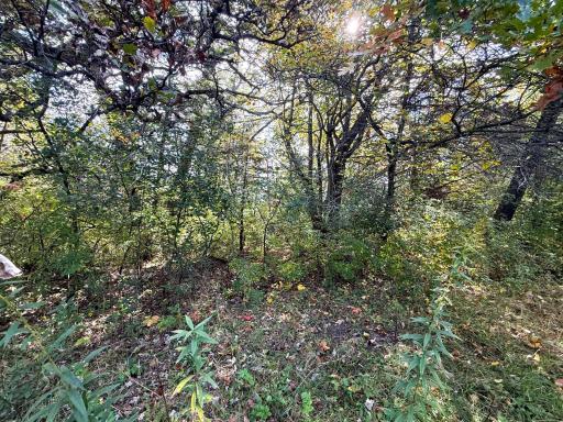 31258 E 325th Avenue, Lanesboro, MN 55971