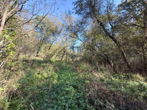 31258 E 325th Avenue, Lanesboro, MN 55971
