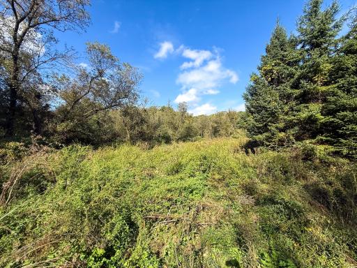 31258 E 325th Avenue, Lanesboro, MN 55971