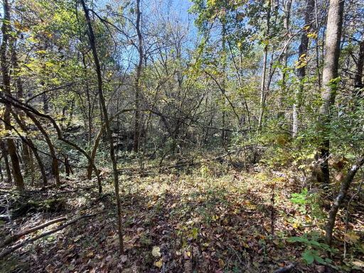 31258 E 325th Avenue, Lanesboro, MN 55971