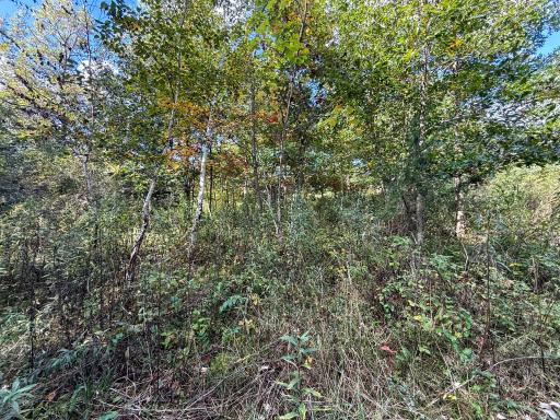 31258 E 325th Avenue, Lanesboro, MN 55971
