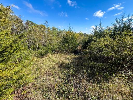 31258 E 325th Avenue, Lanesboro, MN 55971