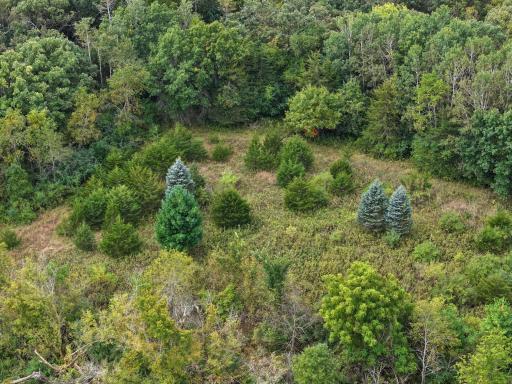 31258 E 325th Avenue, Lanesboro, MN 55971
