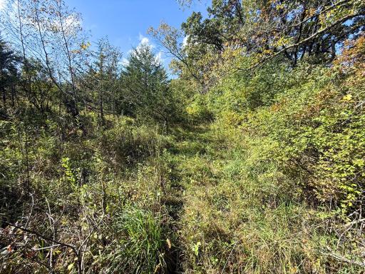 31258 E 325th Avenue, Lanesboro, MN 55971