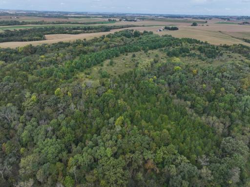 31258 E 325th Avenue, Lanesboro, MN 55971