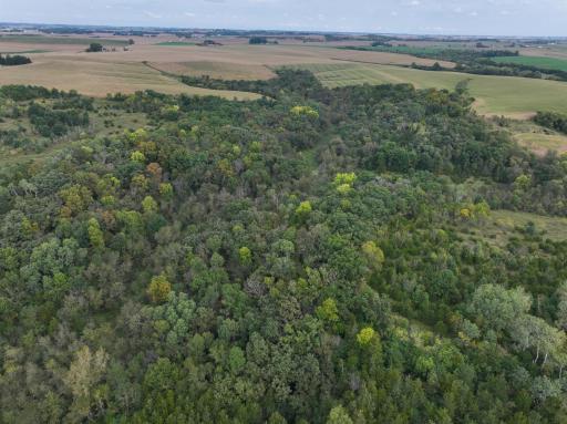 31258 E 325th Avenue, Lanesboro, MN 55971