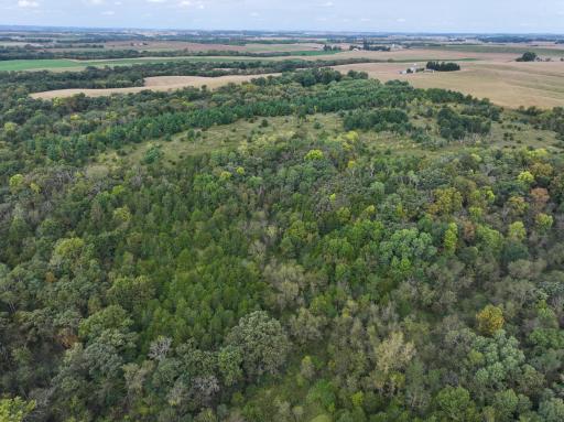 31258 E 325th Avenue, Lanesboro, MN 55971