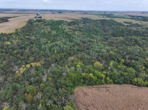 31258 E 325th Avenue, Lanesboro, MN 55971