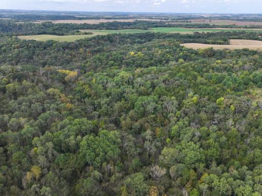 31258 E 325th Avenue, Lanesboro, MN 55971