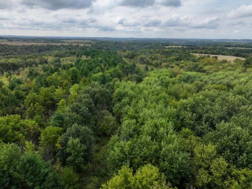 31258 E 325th Avenue, Lanesboro, MN 55971
