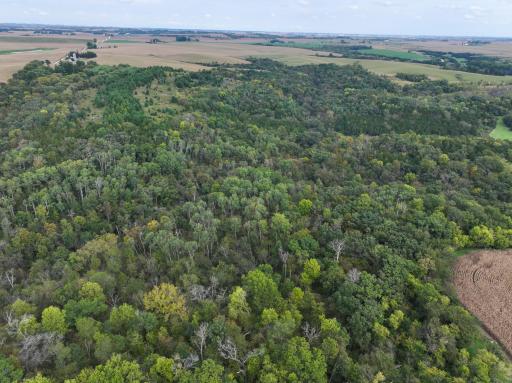 31258 E 325th Avenue, Lanesboro, MN 55971
