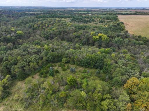 31258 E 325th Avenue, Lanesboro, MN 55971