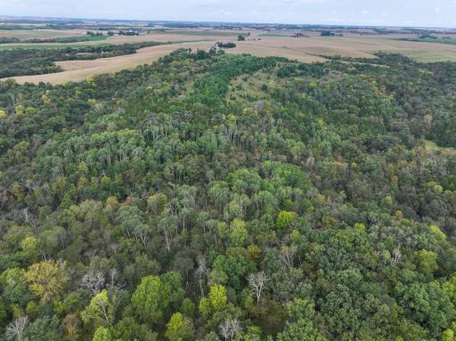31258 E 325th Avenue, Lanesboro, MN 55971