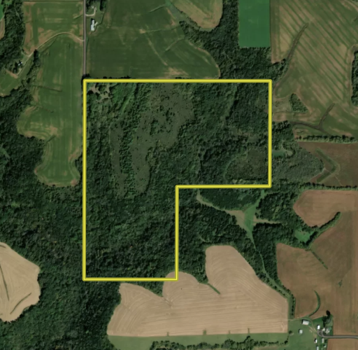 31258 E 325th Avenue, Lanesboro, MN 55971