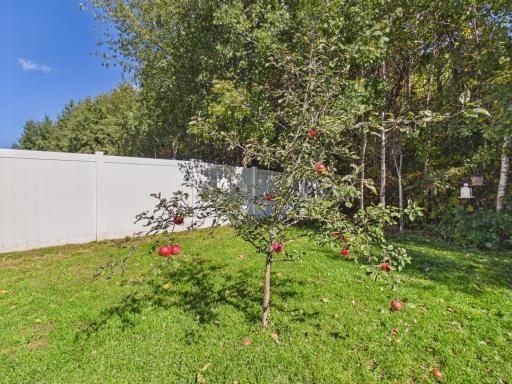 38377 Hunters Ridge Trail, North Branch, MN 55056