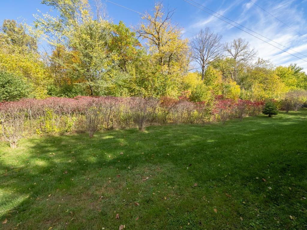 009-016-Back Yard-1024x768.jpg