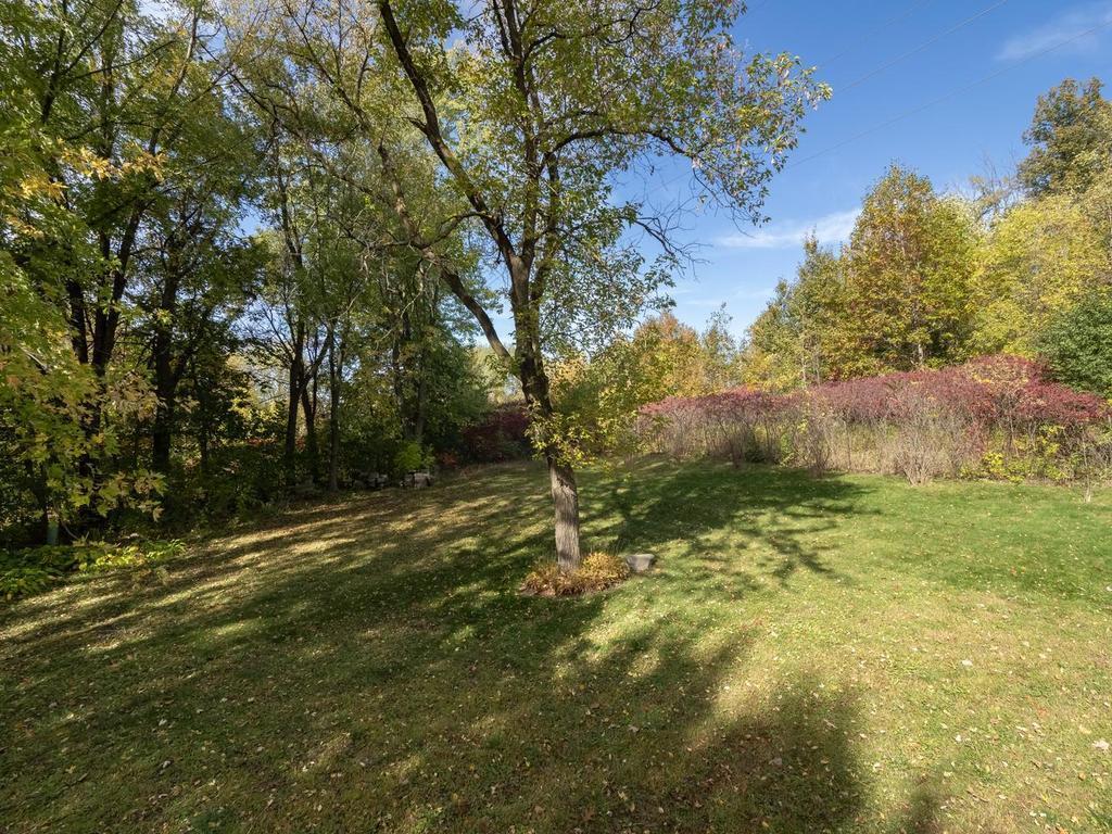 007-035-Side Yard-1024x768.jpg