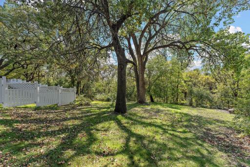415 Chestnut Street E, South Saint Paul, MN 55075