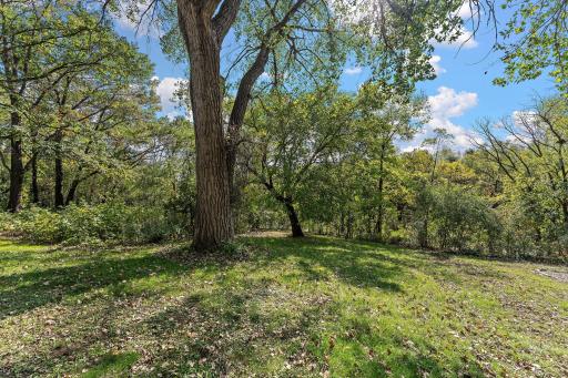 415 Chestnut Street E, South Saint Paul, MN 55075
