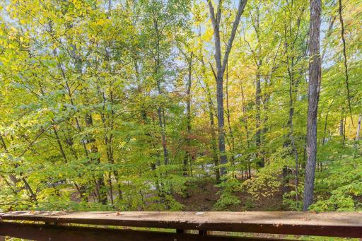 37148 Milinda Shores Road, Crosslake, MN 56442