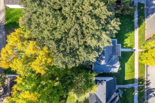 514 E Hampden Avenue, Fergus Falls, MN 56537