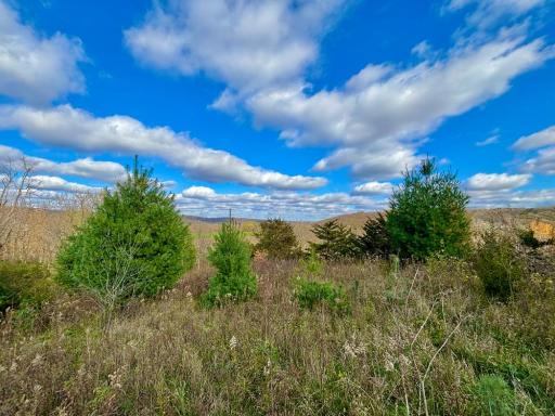29651 County 5, Wykoff, MN 55990