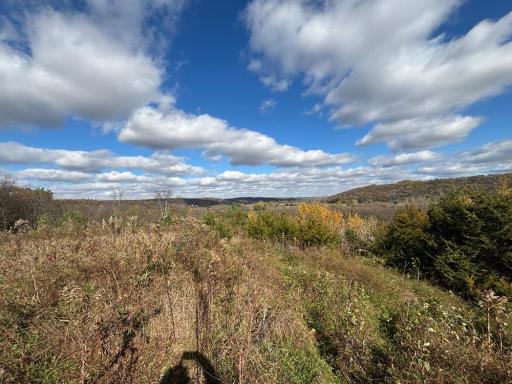 29651 County 5, Wykoff, MN 55990