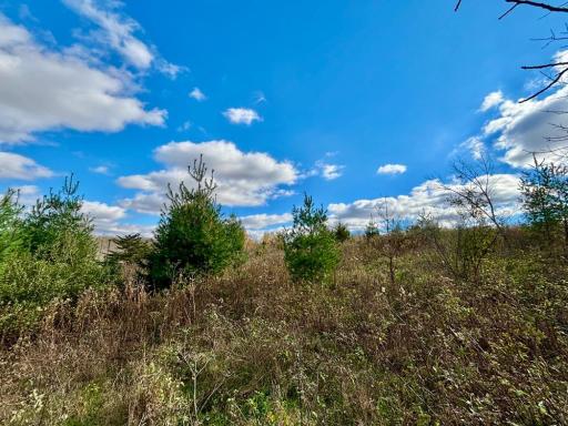 29651 County 5, Wykoff, MN 55990
