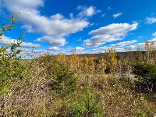 29651 County 5, Wykoff, MN 55990