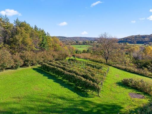 photos_high_resolution_DJI_20261002101931_0014_D.jpg