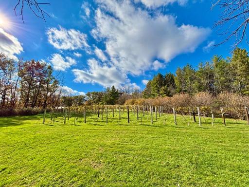 29651 County 5, Wykoff, MN 55990