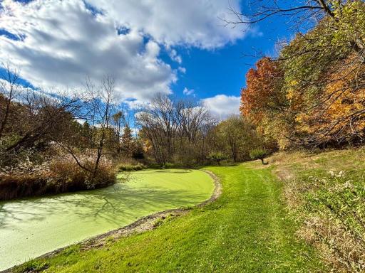 29651 County 5, Wykoff, MN 55990