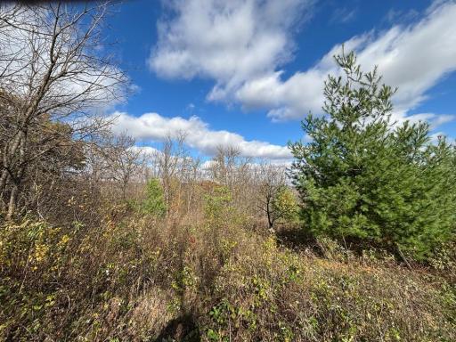 29651 County 5, Wykoff, MN 55990