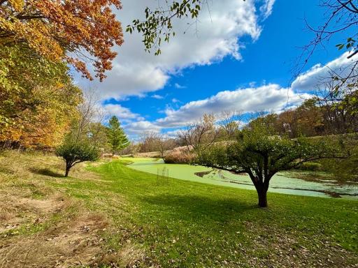 29651 County 5, Wykoff, MN 55990