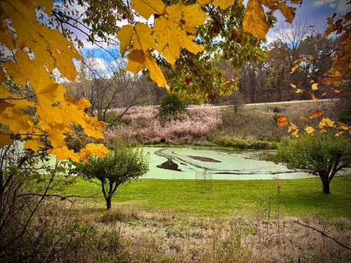 29651 County 5, Wykoff, MN 55990