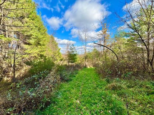 29651 County 5, Wykoff, MN 55990