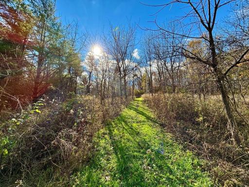 29651 County 5, Wykoff, MN 55990